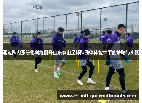 通过队内系统化训练提升山东泰山足球队整体体能水平的策略与实践 通过队内系统化训练提升山东泰山足球队整体体能水平的策略与实践