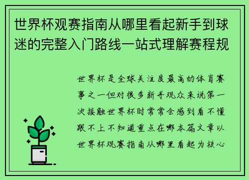 世界杯观赛指南从哪里看起新手到球迷的完整入门路线一站式理解赛程规则看点